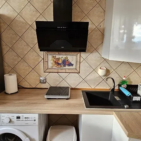 U Agusi Apartment Zloty Stok